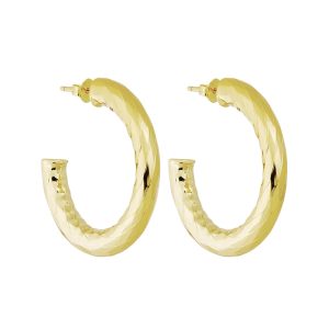 1 Wavelet Hoops in Gold