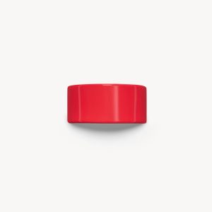 French Pony Barrette in Ruby