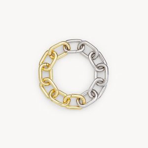 Interchangeable Link Bracelet in Gold + Silver Split