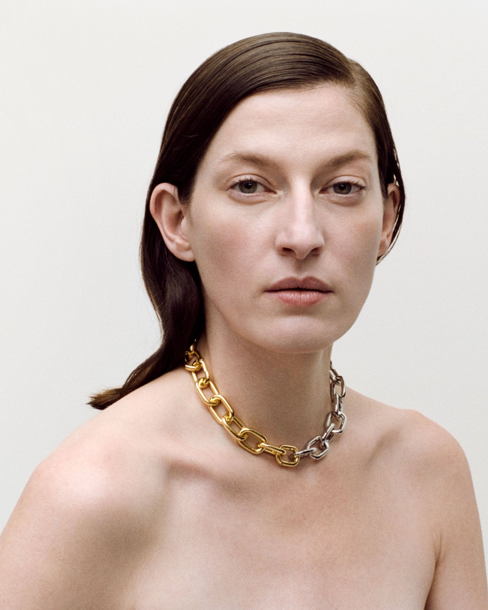 Interchangeable Link Necklace in Gold and Silver Split - Image 2